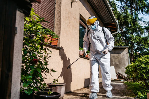 Best Best Pest Control Companies  in Nogales, AZ