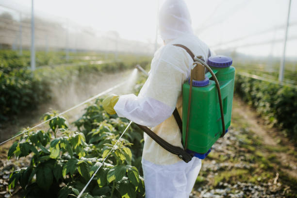 Best Pest Control Near Me in Nogales, AZ